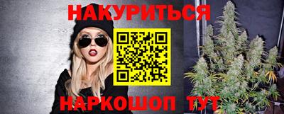 индика Братск