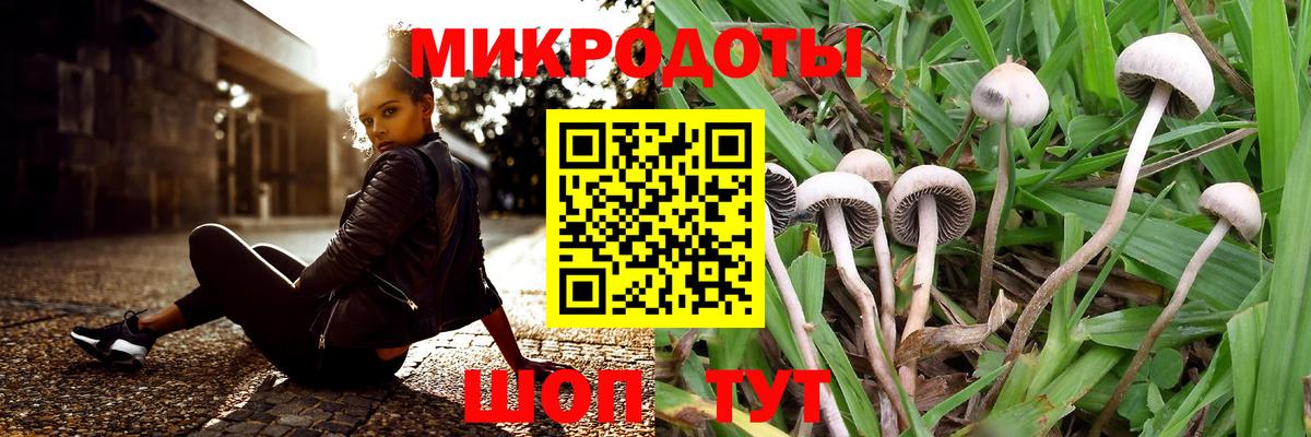 Рыбинск  Псилоцибиновые грибы Psilocybine cubensis  Вход с VPN  Псилоцибиновые грибы мухоморы 