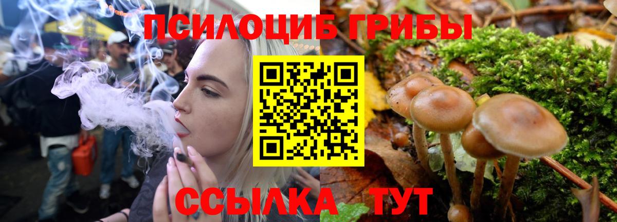Псилоцибиновые грибы Magic Shrooms Рыбинск